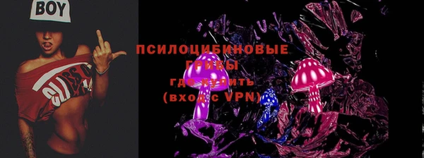 крисы Гусев
