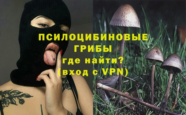 крисы Гусев