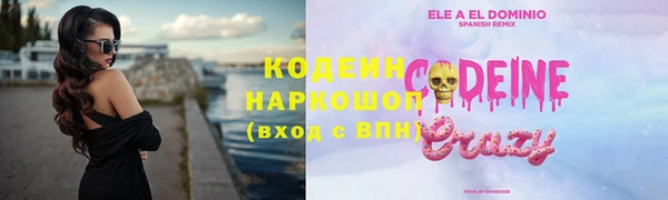крисы Гусев
