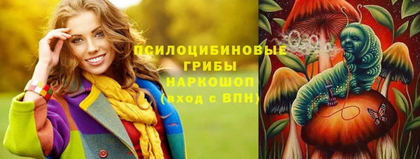 крисы Гусев