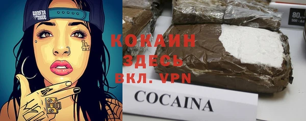 крисы Гусев
